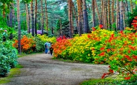 Jeli arborétum, Keszthely PROGRAM ****