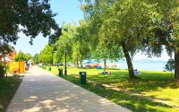 Levendula szüret és Balaton PROGRAM *****